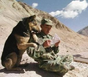 1965052_10152640941808842_8826425993261041272_n