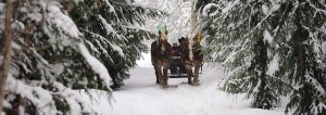 sleigh-ride-whistler